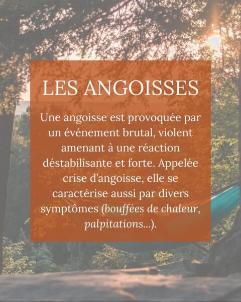 L'anxiété Image 3 article 3 blog Valérie Delcourt Sophrologue