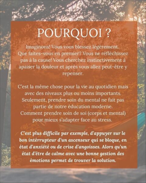 Image 7bis article 3 blog Valérie Delcourt Sophrologue