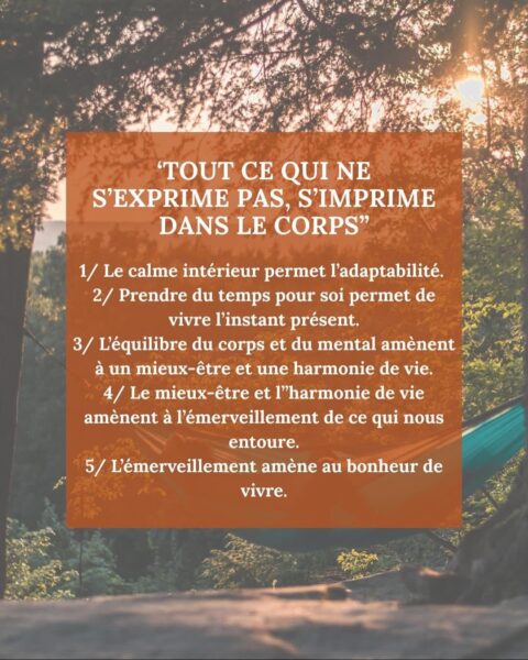 Image 9 article 3 blog Valérie Delcourt Sophrologue