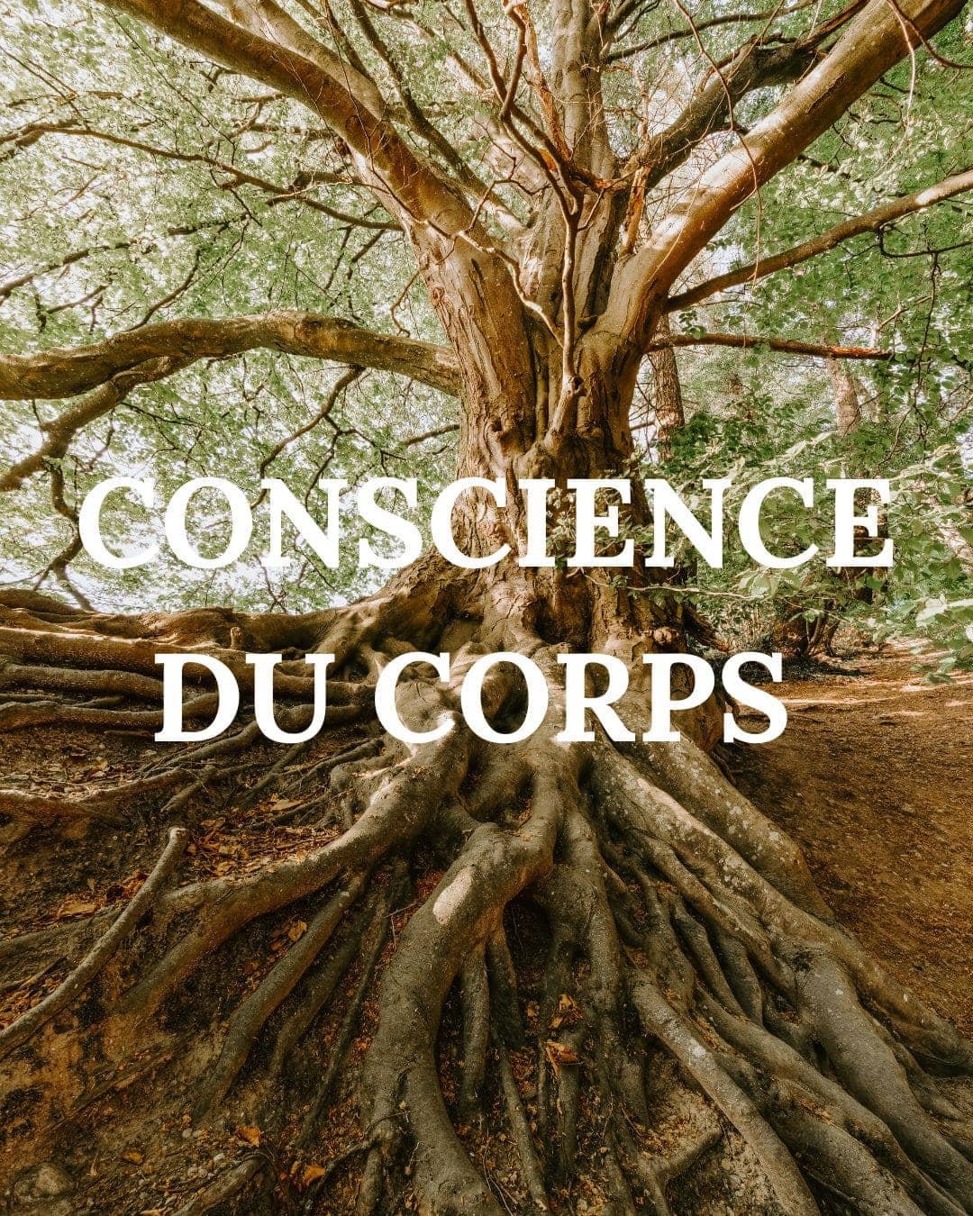 Conscience du corps 1 article blog Valérie Delcourt Sophrologue
