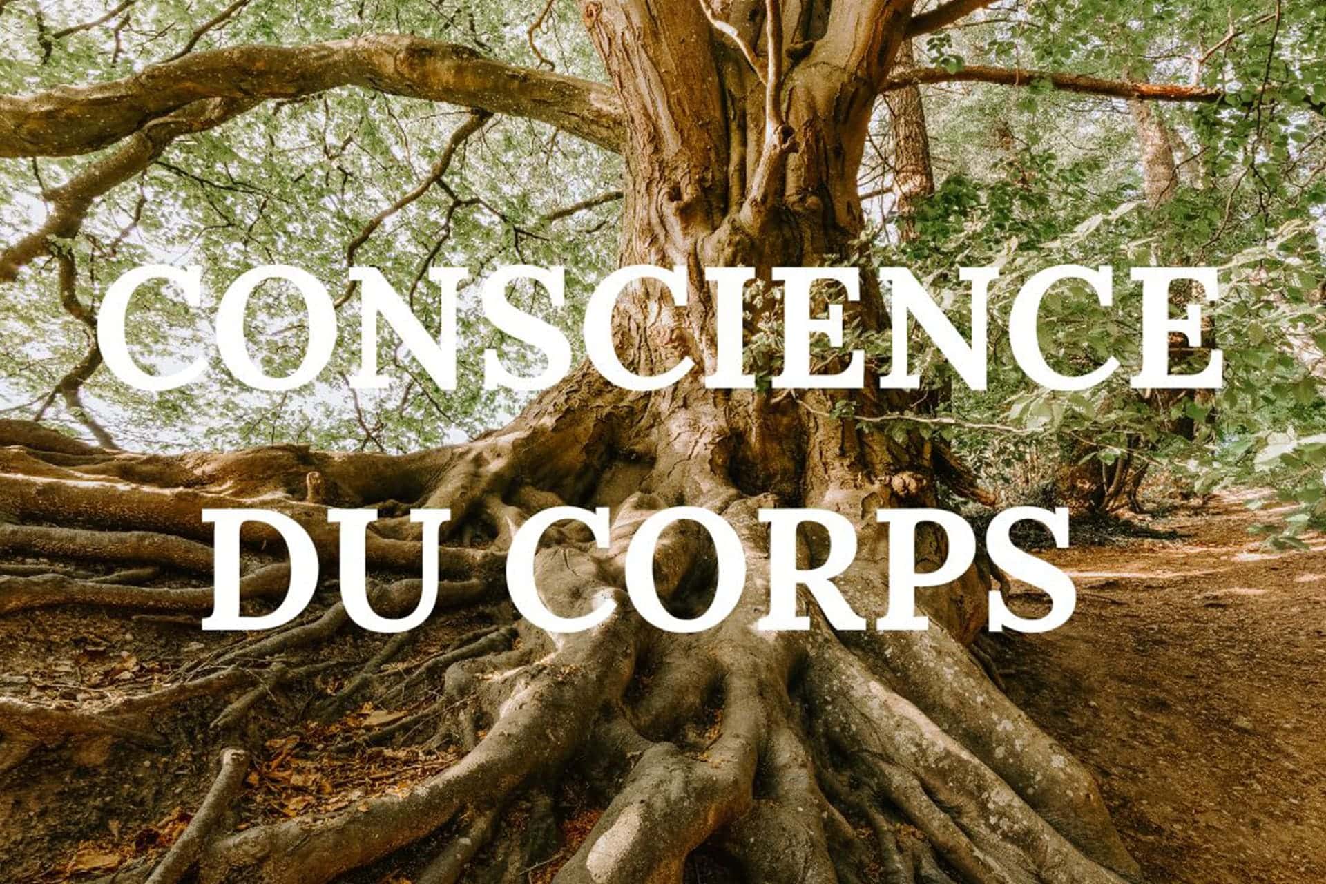 You are currently viewing LA CONSCIENCE DU CORPS!