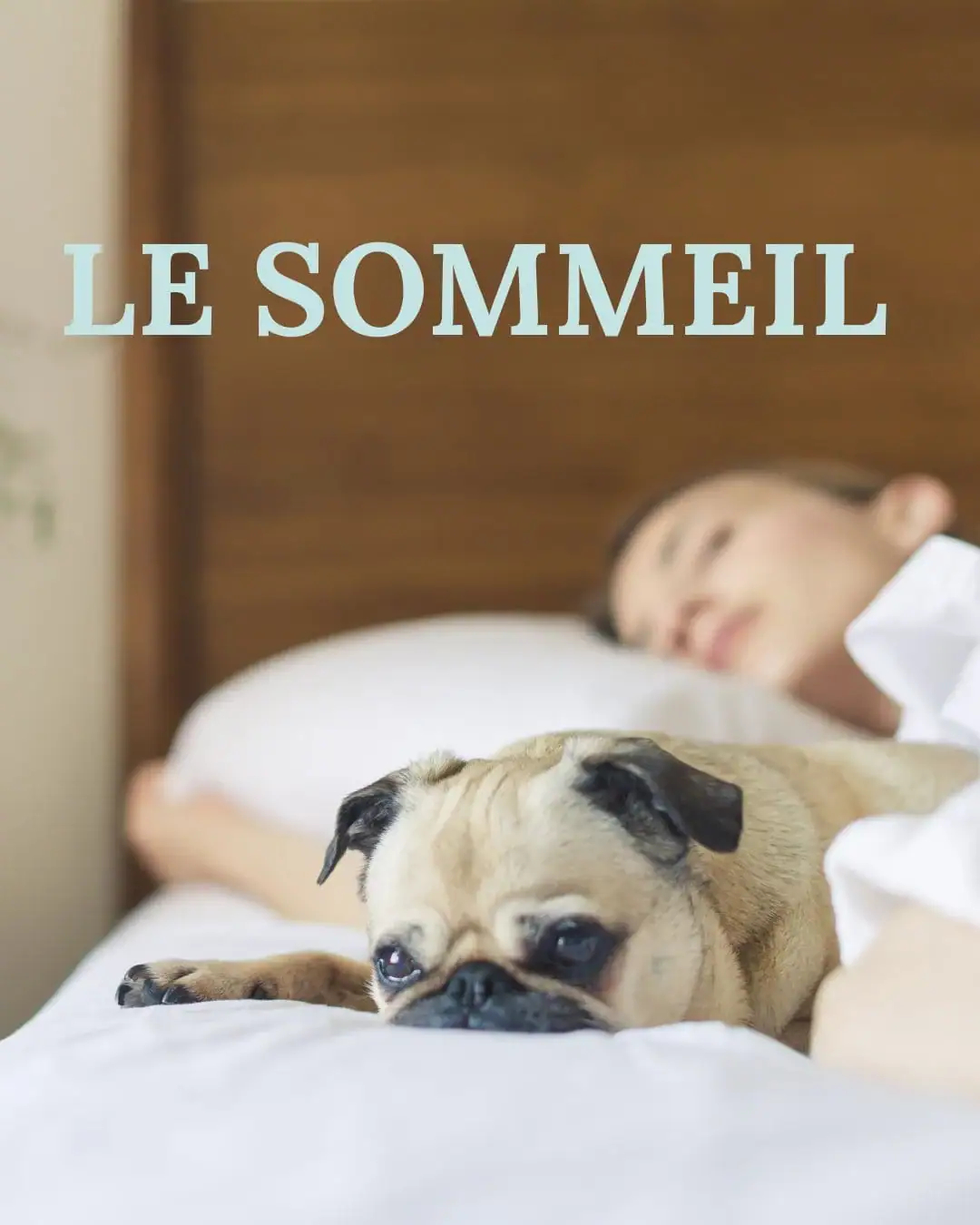 Le Sommeil Valérie Delcourt Sophrologue article blog